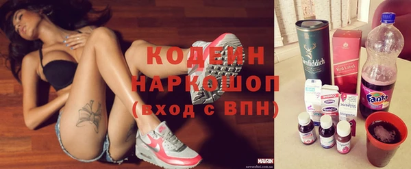 дмт Ельня