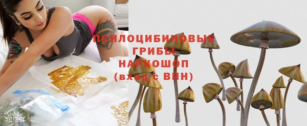 дмт Ельня