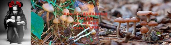 амфетамин Елабуга
