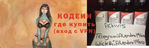 дмт Ельня