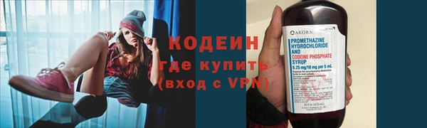 дмт Ельня