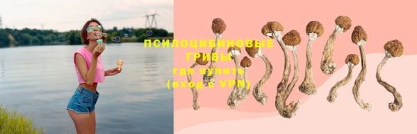дмт Ельня