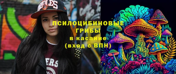 дмт Ельня