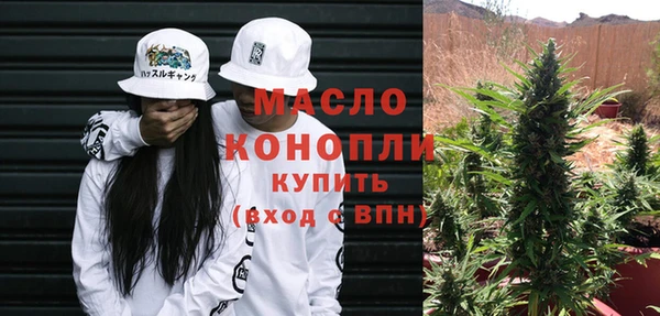 дмт Ельня