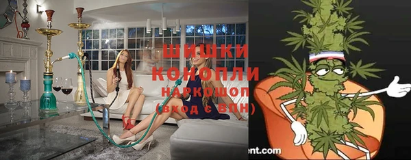 дмт Ельня